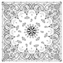 Zan B004 White Paisley  22